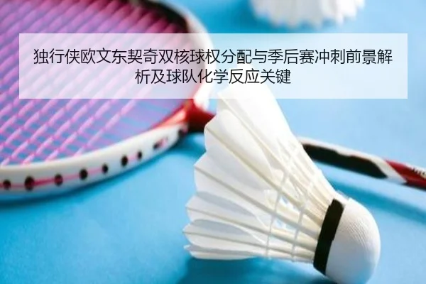 独行侠欧文东契奇双核球权分配与季后赛冲刺前景解析及球队化学反应关键